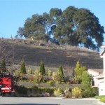 Hill on Fire 012
